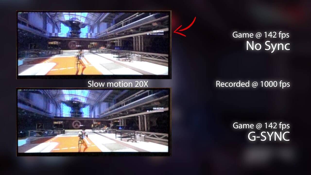 AMD FreeSync vs Nvidia G-SYNC for 1440p
